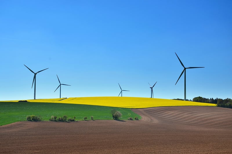 Sustainable Tips